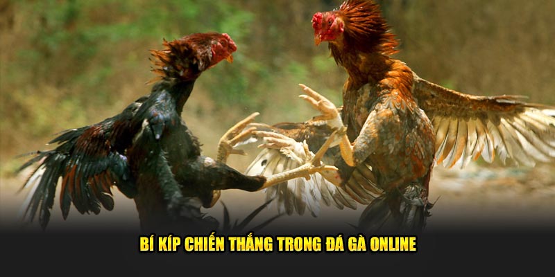 Bi-Kip-Chien-Thang-Trong-Da-Ga-Online